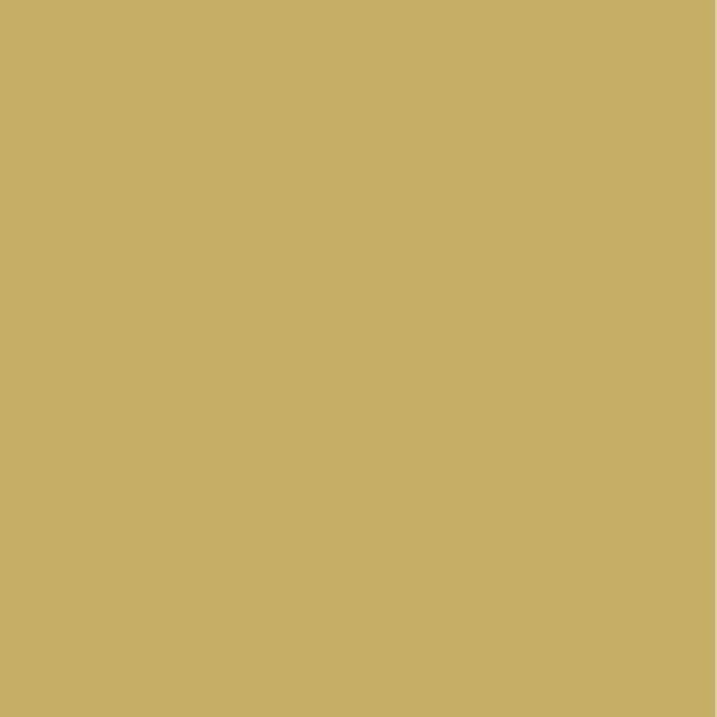 POLYREY GRAIN DE MOUTARDE G079 EPIMAT